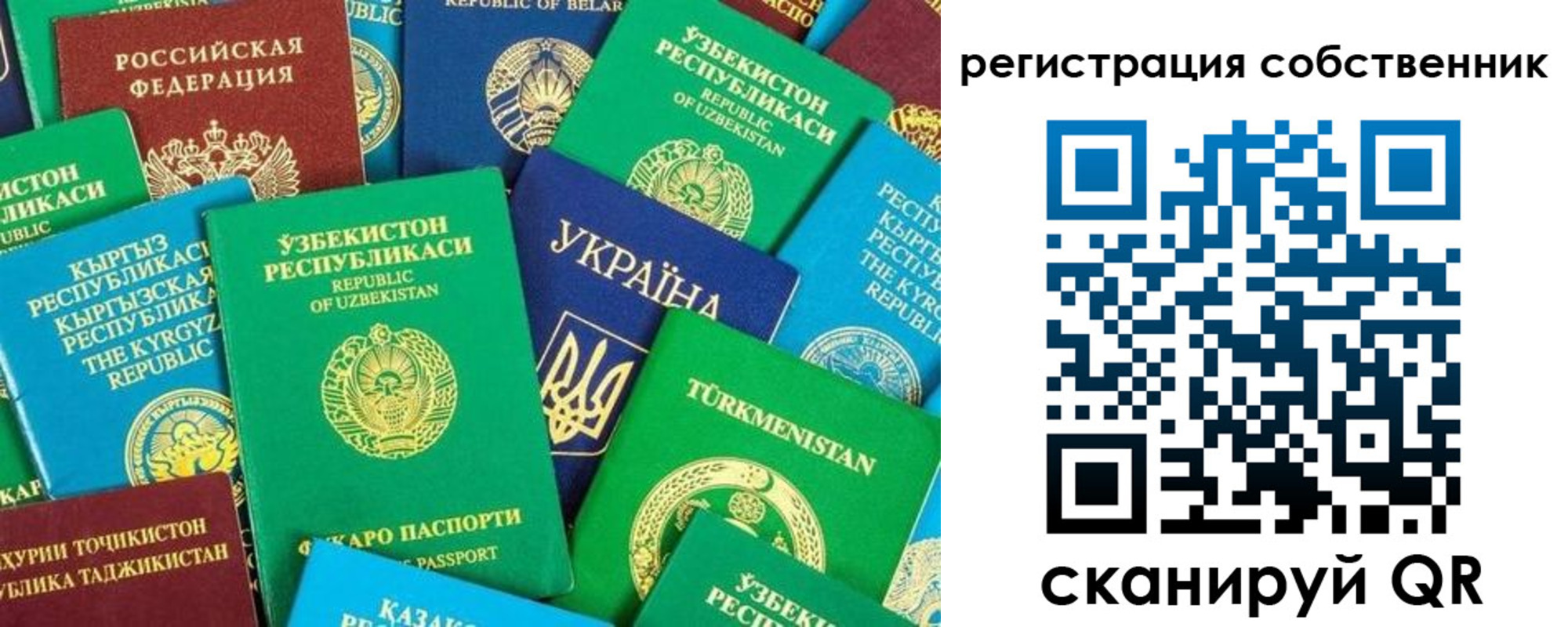 прописка в Рубцовске